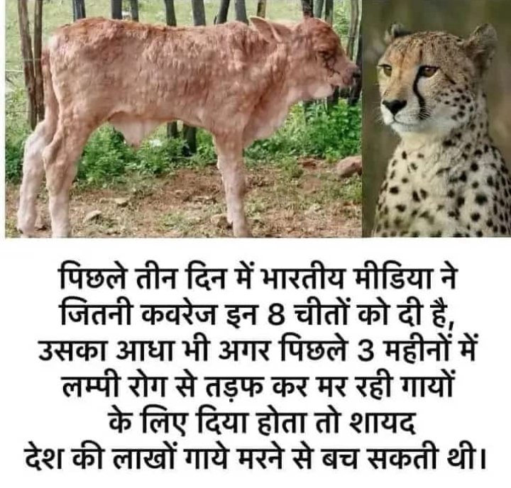 Anuj Kumar (@anujkum30734495) on Twitter photo 