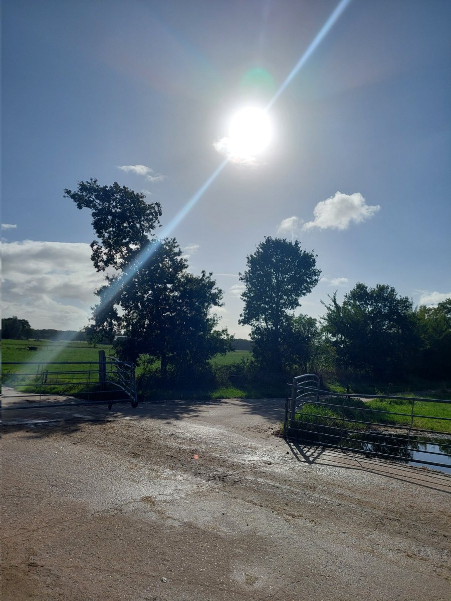 Na 31 mm gisteren en vannacht, nu de zon 🌞