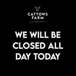 Photo by Cattows Farm (@CattowsFarm)