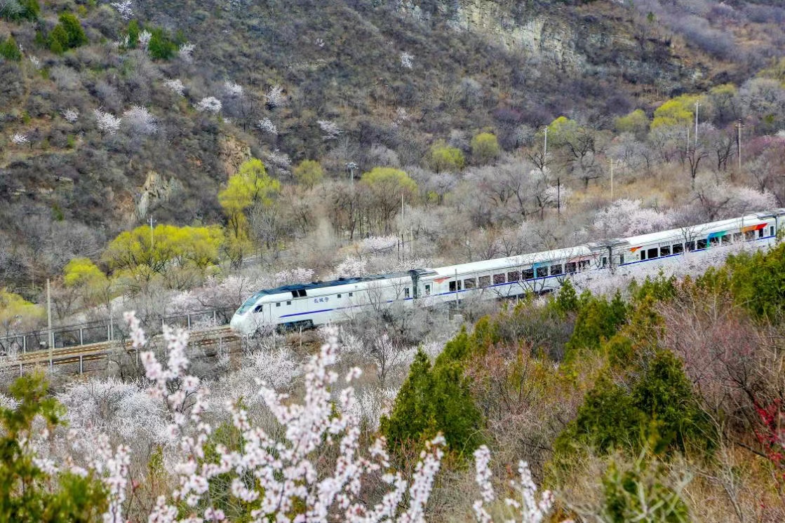 BeijingDiscover's tweet photo. Thanks to Beijing's long-term afforestation efforts, 9.22 million mu (614,667 hectares) of trees have been planted in the capital over the past two decades. 🌳🌳✅
#LastDecadeInBeijing #GreenBeijing #DualOlympicCity #BeijingDevelopment (Photo: Beijing Daily) https://t.co/UEjhRVsEH1