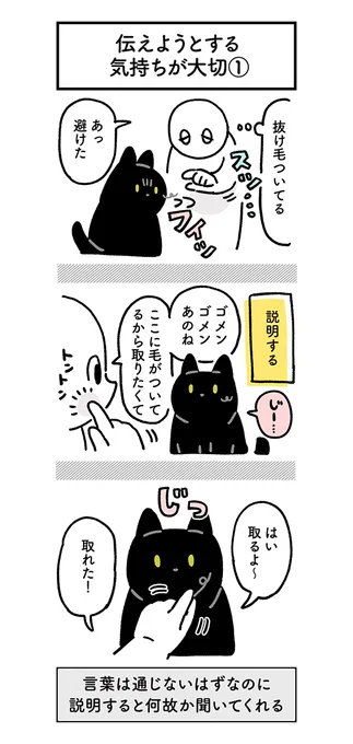 猫に『人間の言葉』で説明すると? 賢い姿に「すごすぎる」「分かるー!」 https://t.co/ezOSHIxoA7 @grapeejpより 