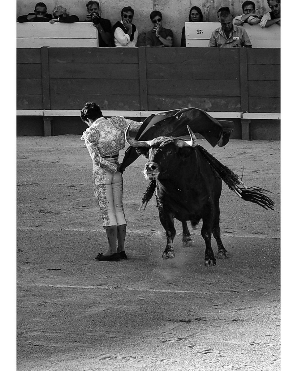 ericdesort's tweet photo. "Feria de Nîmes" incroyable corrida du samedi...
#Feria #photo #photooftheday #feriadenimes https://t.co/hCb77dv38t