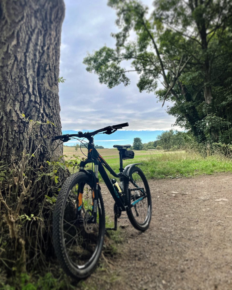 anghall6's tweet photo. Just me & the bike!🥰🥰🚴🏻♀️ #cycling #mtb #countryside #localtrails #peaceful #mindfulness #wellbeing #keepgoing https://t.co/2y48t8dftr