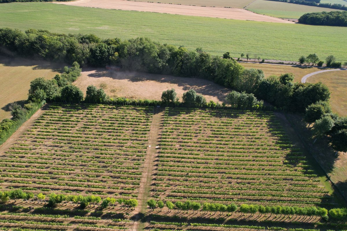 Today see's the start of British Food Fortnight- make the most of it and check out this great article in September SIU!🥦🥩🥂
We hold a great range of local produce that we are extremely proud of!

anyflip.com/sjuq/copl/

#teamharvest #britishfood #supportlocal #chef #cheflife