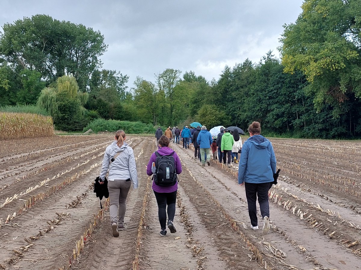 Living Lab Plant tweet media