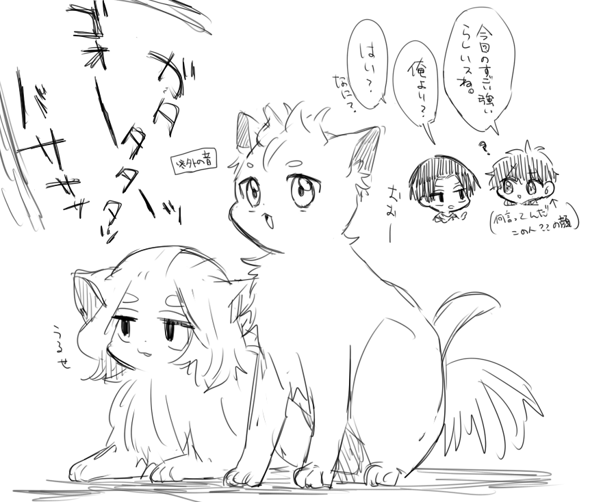 台風 