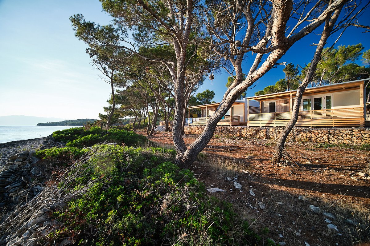 Savor the last week of summer! 😎 
There are still plenty of sun-soaked days to enjoy! ☀️ 
BEST LATE SUMMER DEALS in Boutique Camping Bunja! 👌

🔹 bit.ly/3Bi8SZE

#adriaholidays #adriahome #adriaglamping #mobilehomes #brac #croatia