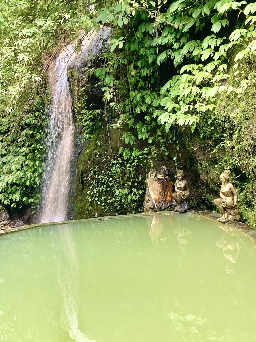 Angseri温泉に寄り道

湯温もあたたかく硫黄の香り漂う貸切風呂、共用の滝見露天風呂や緑に囲まれたジャングル風呂など素朴な風情と秘境感にあふれる温泉ですが、ここはかなりのインドネシア上級者向けでしょうか

バリの温泉なら、初級者はMimpi Resort、中級者にはYeh Panasをおすすめしたいです♨️