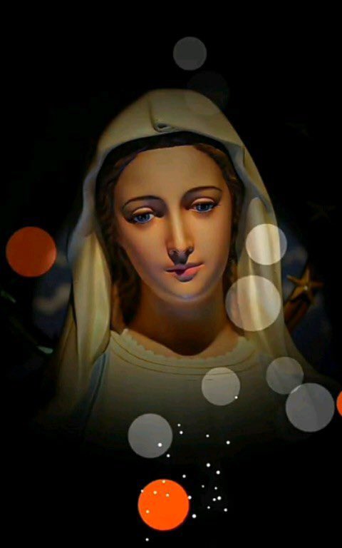 Tansi6's tweet photo. @shalomdfirst https://t.co/DsDnHucUj8