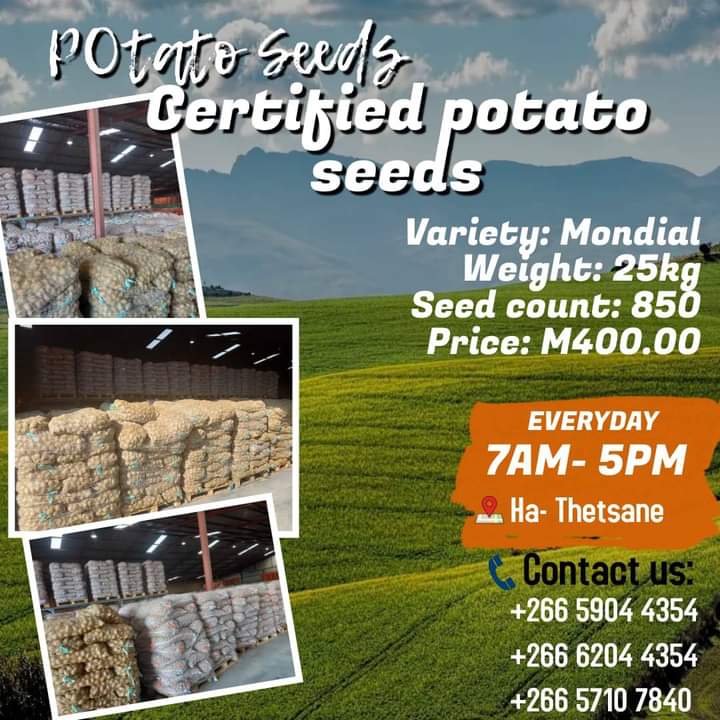 busas_m's tweet photo. Peo ea litapole ke eo lihoai. 
Ps RT, motho a e hlokang might be on your TL https://t.co/3ARyF8QuTG