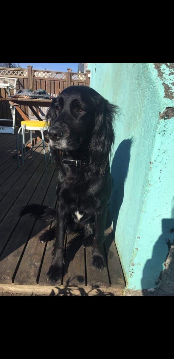 Uppáhaldið mitt hún Rhea er 13 í dag, hún er best 🥰