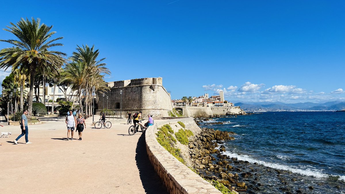 Ross Gray tweet media