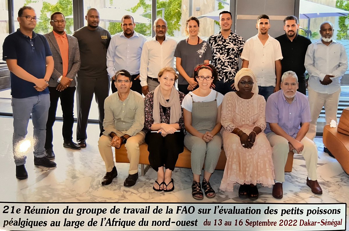 FAO_CECAFCOPACE's tweet photo. 🐟📊Fisheries scientists at the 21st #CECAF Working Group on Small Pelagics (North west) convened to evaluate fish stocks.

21e Réunion du groupe de travail du #COPACE sur l'évaluation des petits poissons péalgiques au large de l'Afrique du nord-ouest. https://t.co/MRNpJLjfpt