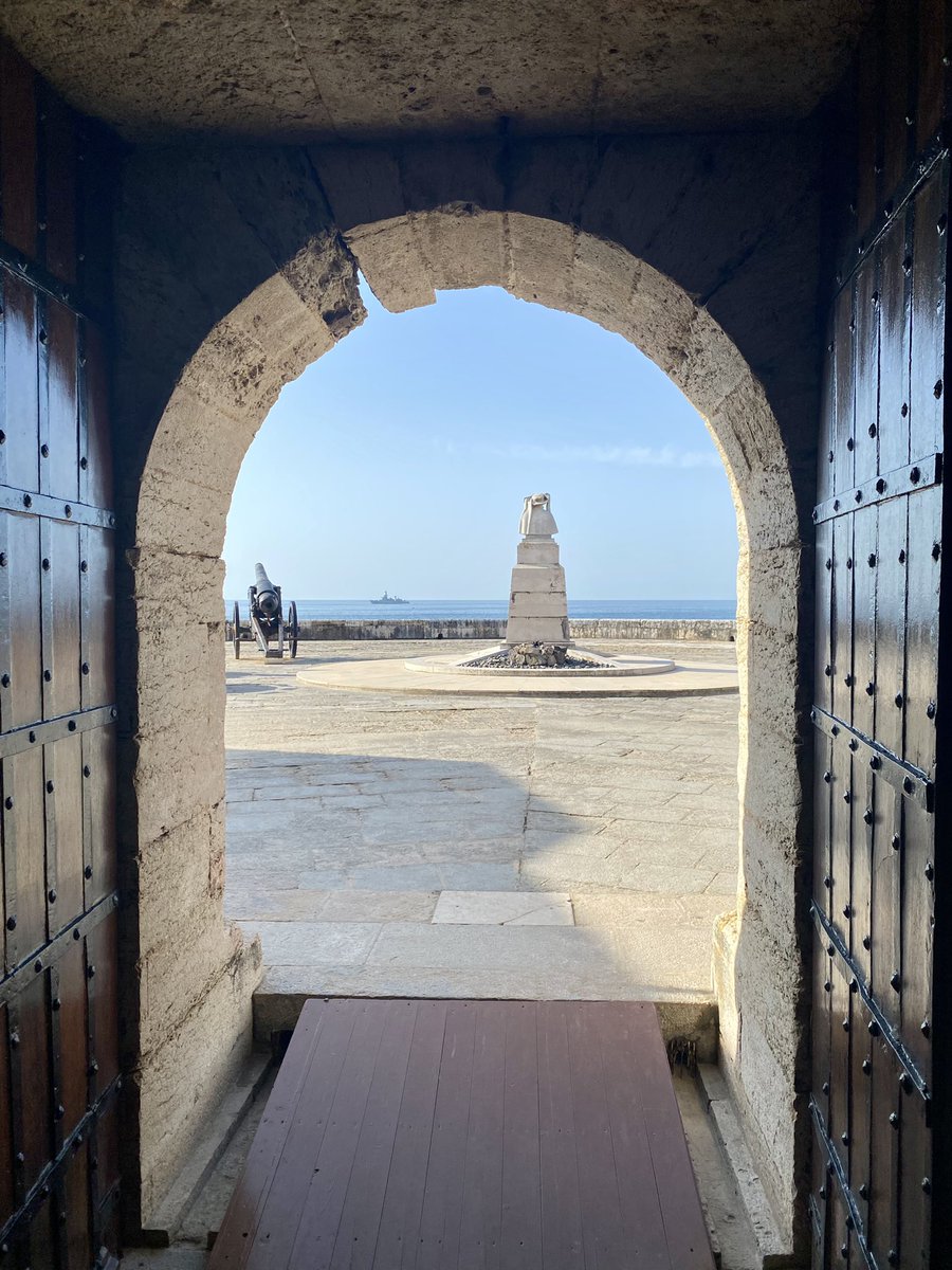 Erin Tranfield - @drtranfield.bsky.social tweet media