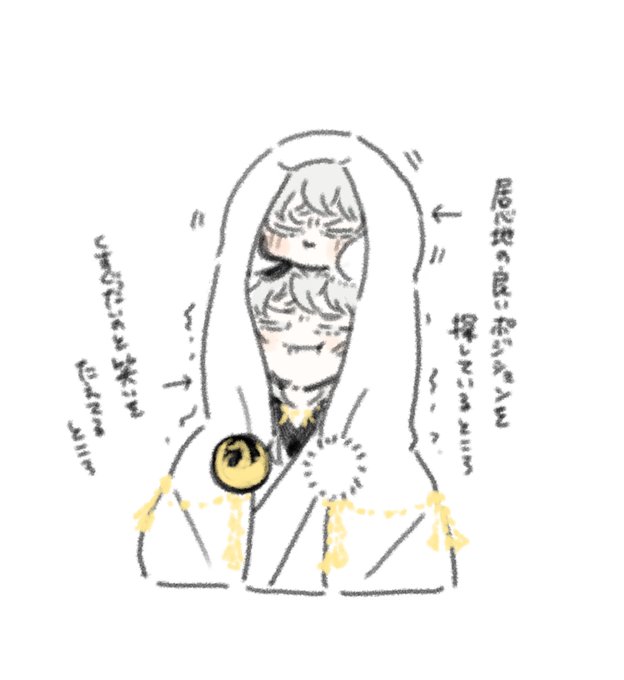 本歌はこのあと鏡を見て大笑いする
(※鶴丸本歌と写しちゃん) 