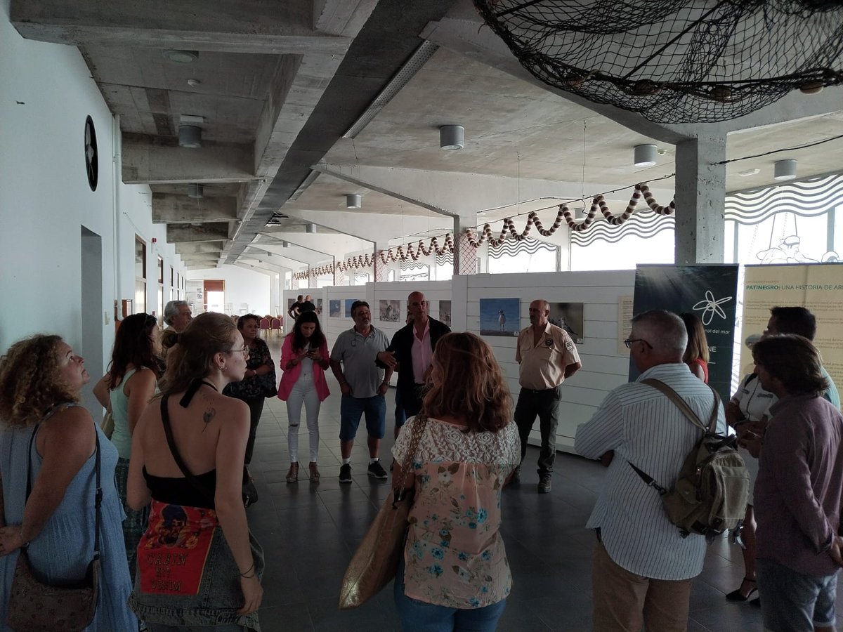 campusdelmar's tweet photo. Inaugurada en #Barbate la exposición itinerante “Una nueva historia de arena y sal”, de difusión y sensibilización para la conservación del Chorlitejo Patinegro en el litoral gaditano. 
Estará en la Lonja Vieja hasta el próximo domingo.
¡Acércate, conócelo, enamórate y cuídalo! https://t.co/iUGyhkHXp8