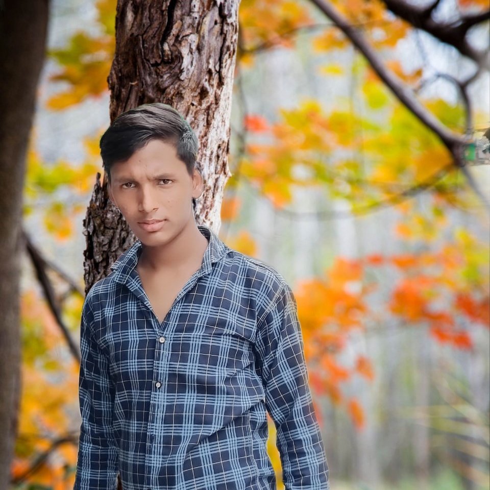 VikashyadavRaj3's tweet image. 