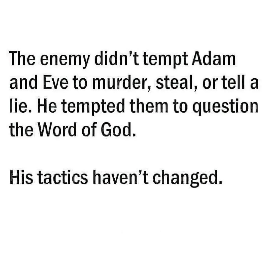TammyDoodleDo's tweet photo. https://t.co/9evlIB8fs4