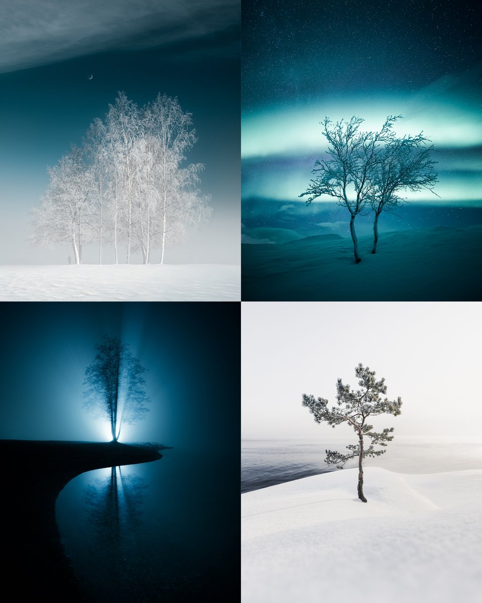 MikkoLagerstedt's tweet photo. Resilience.

A thread about motivation in photography. https://t.co/DGi3PaRDdi