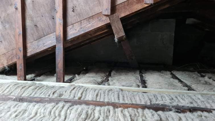 sheepwool_uk's tweet image. We are looking forward to being back out there again, #sheepwoolinsulation meeting our customers. Come visit our stand  H22 in Hall 1, 7-9th October TEC Belfast . #sustainable #natural #wool 
Get your tickets here!eventbrite.co.uk/e/182492358557…