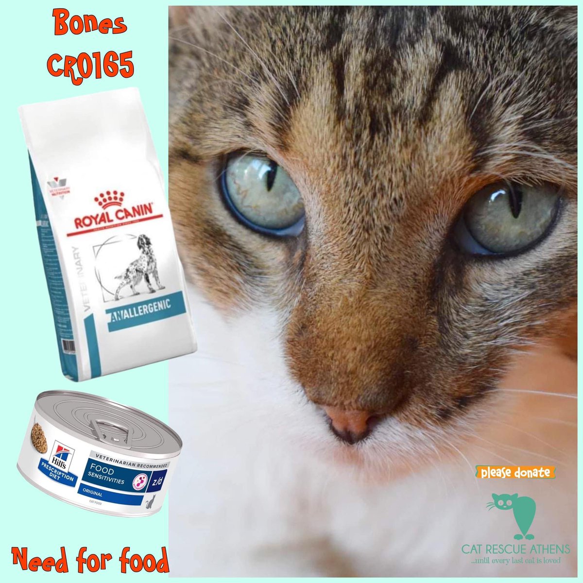 CatRescueAthens's tweet photo. #bones_cra #cra_cr0165

Ο Bones χρειάζεται να τρώει ειδική τροφή καθώς είναι ένα γατακι που, πέρα από τα υπόλοιπα προβλήματα του, έχει τροφικές δυσανεξίες και αλλεργίες. Εκδηλώνει σοβαρά δερματικά που εξελίσσονται σε επίπονες πληγές.
Οι προμήθειες μας έφτασαν στο τέλος τους. https://t.co/B6giMYCw4n
