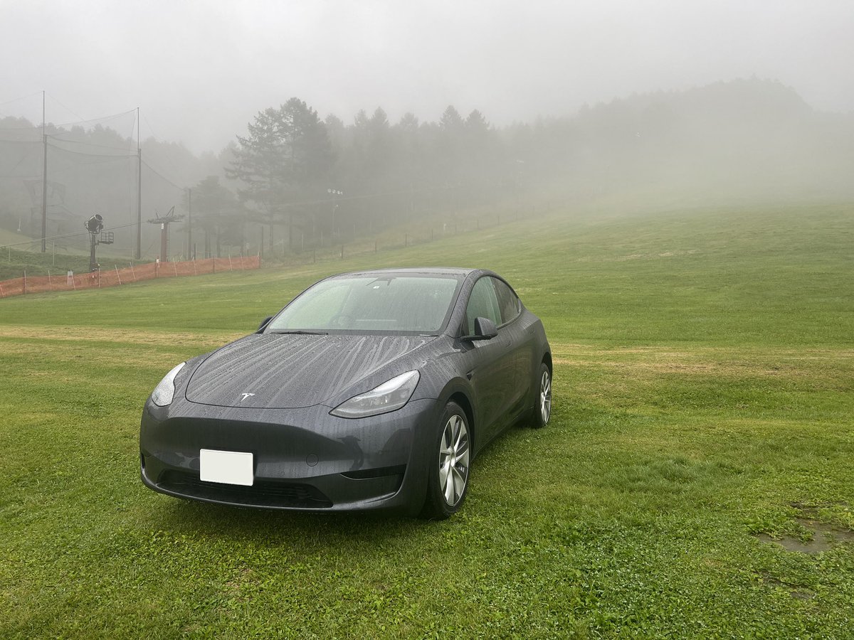 Oh! Louie tweet media