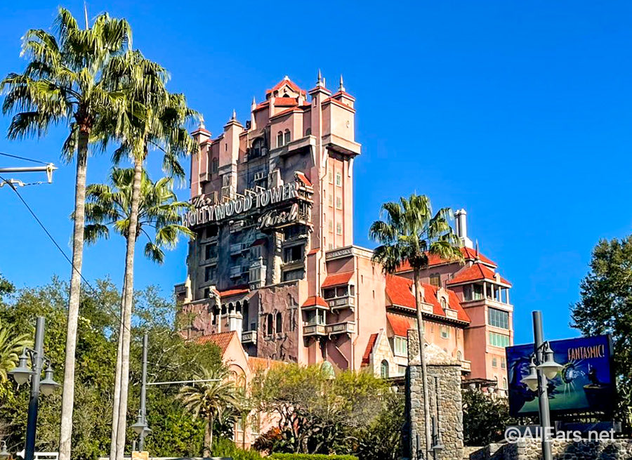 Diana Montalion 🌻 @diana@hachyderm.io tweet media