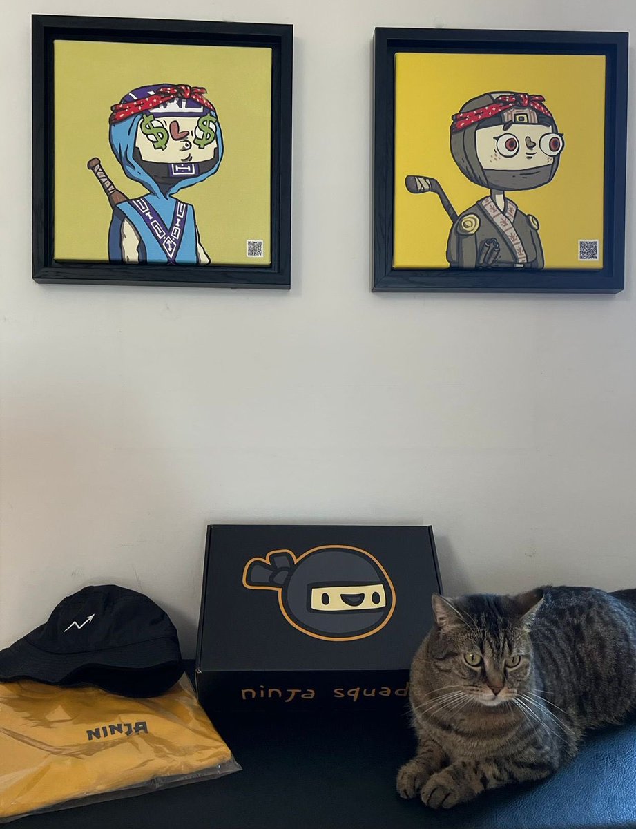 CryptoYsa's tweet photo. We like the @ninjasquadnft NFTs then we got the NFD 😜🥷🏽

@CryptoKemal https://t.co/YulcOozL3z