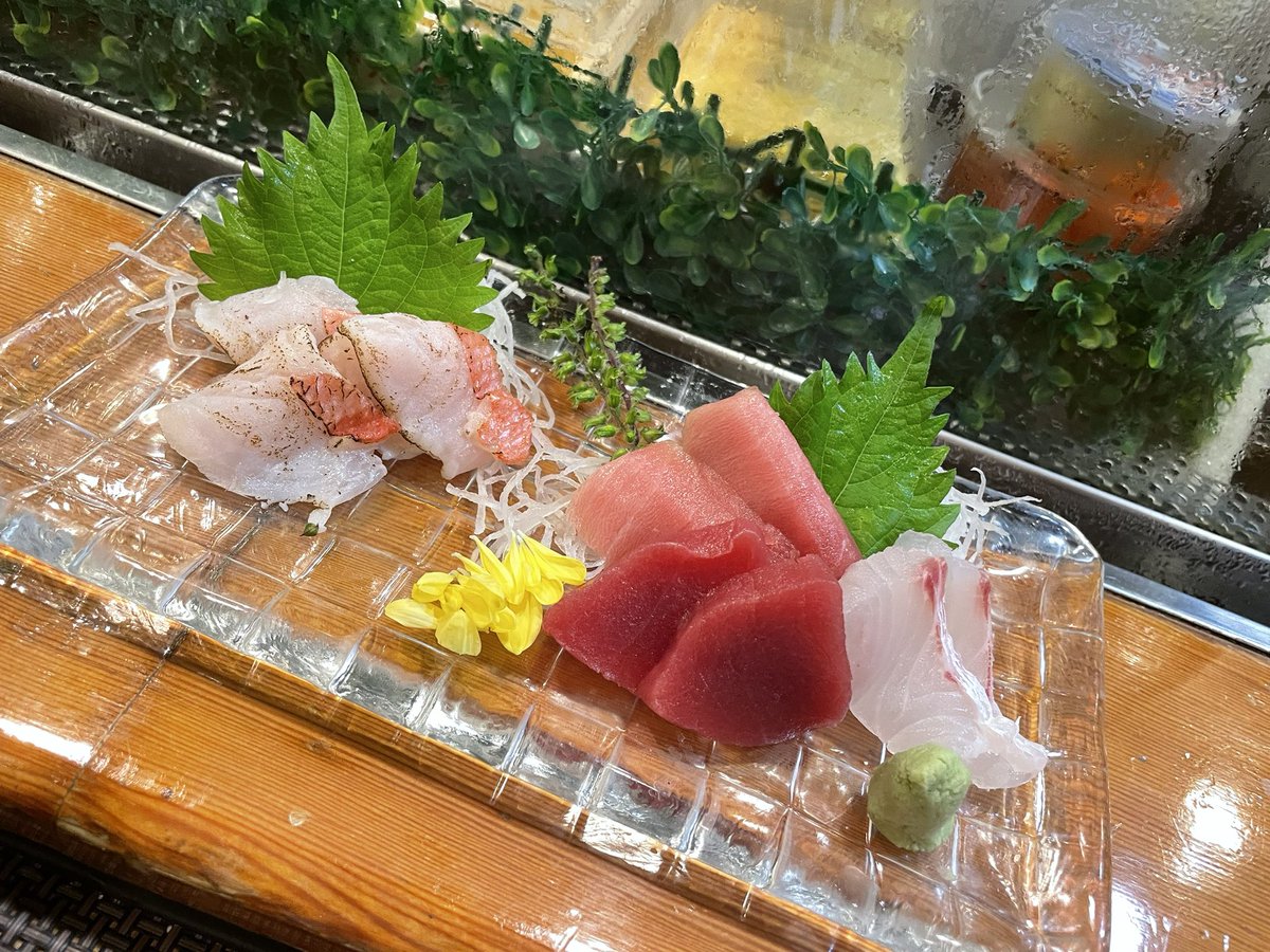 刺身最高〜‼️ 今日も一人でお寿司屋さんへ🍣