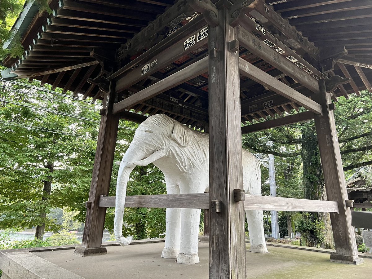 mabemutsu's tweet photo. 昨日今日のウォーキング冒険 https://t.co/Ra4ichjxsf