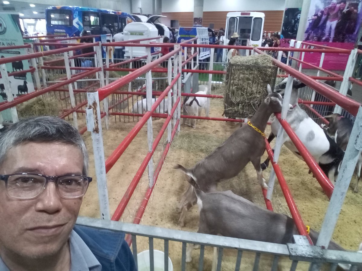 Buenísimas mañanas...

¿Se puede decir?

Feria científica Tecnológica e Industrial Iran-Venezuela 

#LaPazNosUne