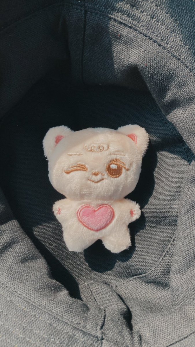 Breakfast_girl_'s tweet photo. @BBomning  Bomning is so cute🥺💗 I screamed when I open the box.

@TTobyto辛苦代購了🥺，謝謝～出貨真的好快XD 
迫不及待的帶出門拍照了📷 https://t.co/uELnIgiSjg