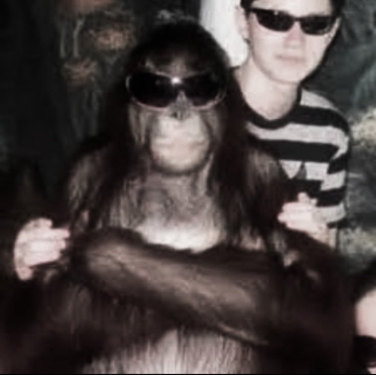 punkshigh's tweet image. feliz aniversário macaca tmj sempre