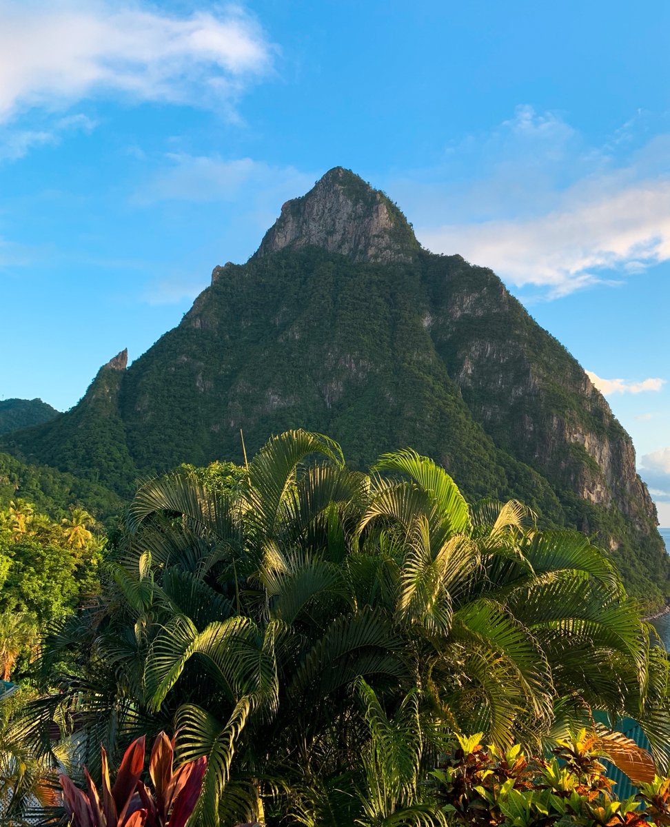 Stonefield_Res's tweet photo. Name a more iconic view of Gros Piton 😍 We'll wait.. 

#stonefieldvillaresort #escaperelaxrejuevnate #saintlucia #pitons #travelsaintlucia https://t.co/828EdrL72k