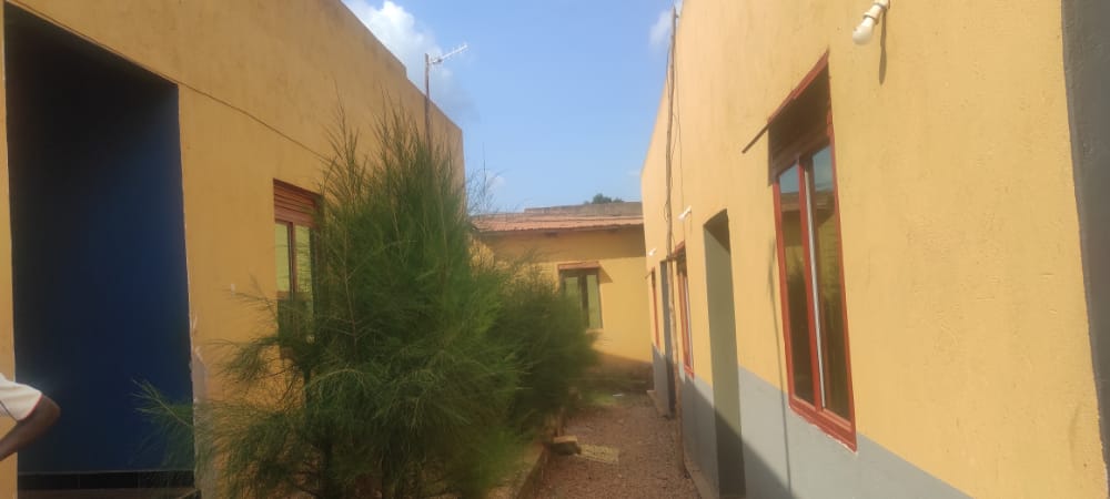 DanidoProperty's tweet photo. RENTALZ FOR SALE:

SEVENTEEN (17) DOUBLE UNITS SELF CONTAINED WITH KITCHEN AVAILABLE FOR SALE AT SEGUKU KATALE ON ENTEBBE ROAD  GENERATING 6.5M PER MONTH ON 30 DECIMALS MAILO LAND WITH TITLE AT SELLING PRICE 500M (negotiable)
call 0701380000
#residential
#property 
#land https://t.co/HY9Y3wC9fz
