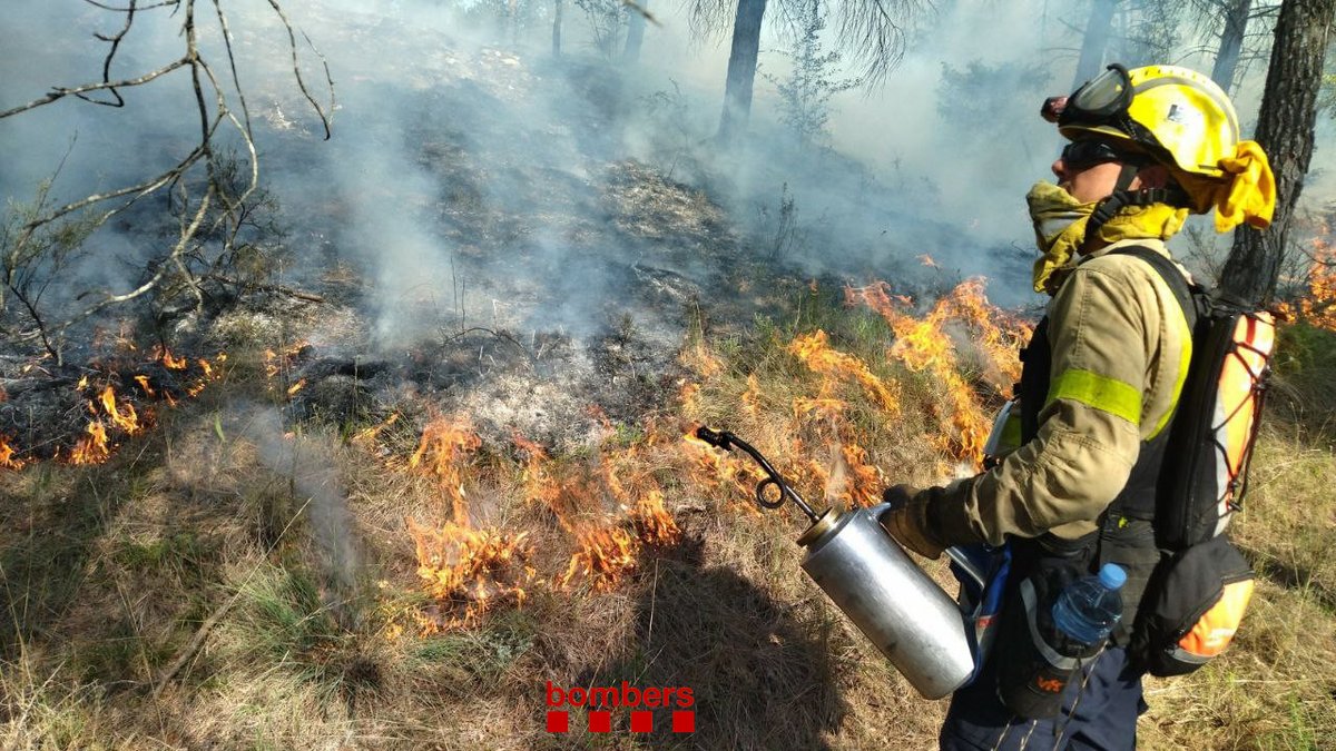 bomberscat's tweet photo. Avui, fem manteniment d'aquest Punt de Gestió Forestal (PEG) amb ús de foc tècnic i alhora millorem l’activitat ramadera.

#bomberscat #GRAF #EPAF https://t.co/QEbicV7D2A