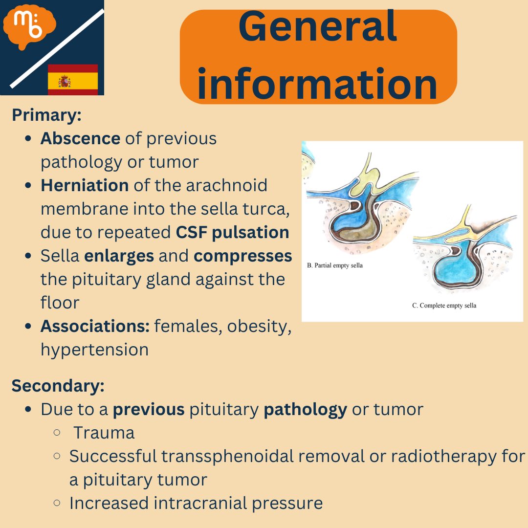 Mission:Brain Complutense tweet media