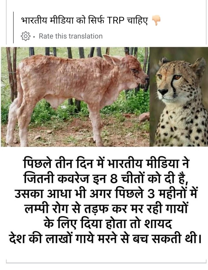 AnashAl30131353's tweet photo. @myogiadityanath @Phogat_Vinesh @BajrangPunia In dono main kiske uper paise khrch karne jaruri  he  
Hame samajh nahi aa raha he ho kya raha he https://t.co/gKjo5QDcGO