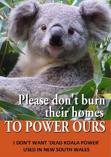 AFCA_Forests's tweet photo. Ban native forest #biomass.
#EndPublicNativeForestLogging
#koalakillers
#stopextinction https://t.co/A2DcoRRBqV