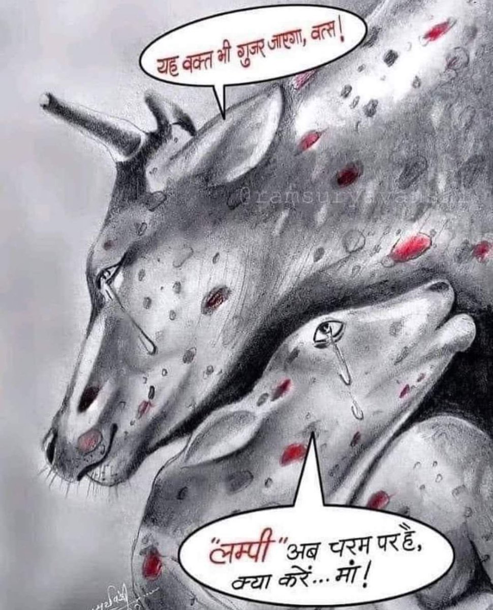 देशभर में फैल रहे लंपी वायरस से गौमाता को बचाओ.
#GauMaataBachao
