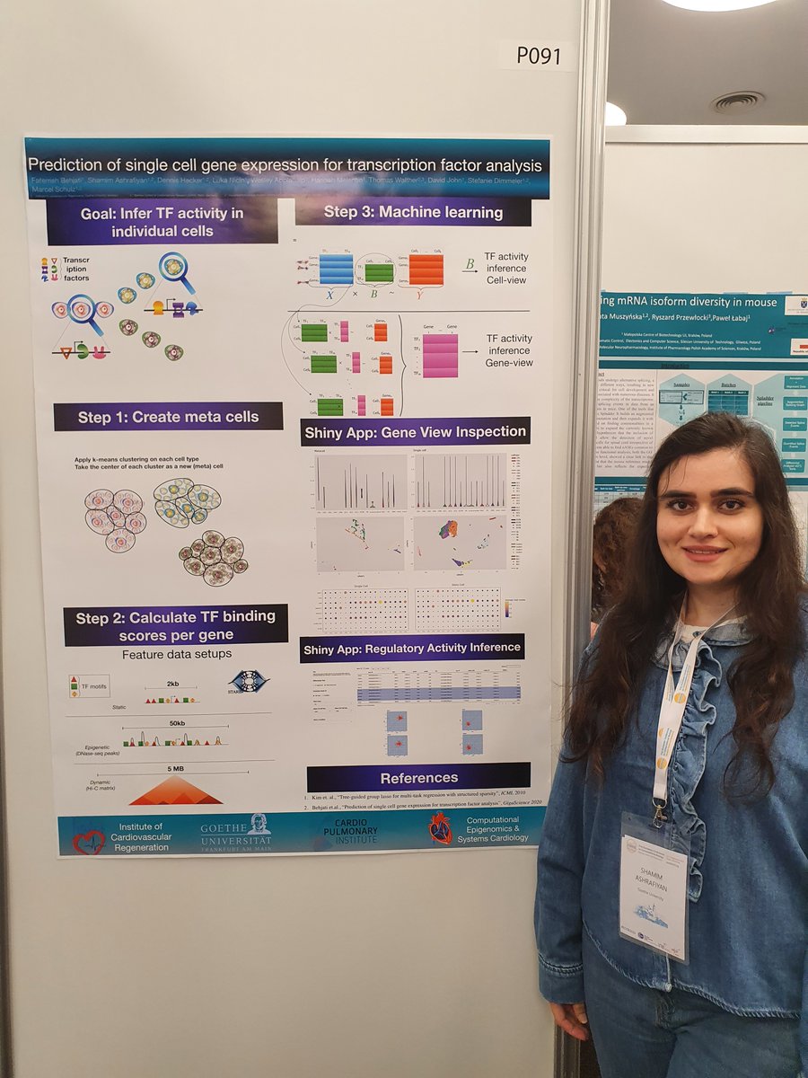 Shamim Ahsrafiyan presents P091 on our GAZE framework about the learning of #transcriptionfactor #regulatory #networks  from #singlecell data @ISCB_Regsys @ShamimAshrafiy 
#ECCB2022 #phd  @trr267 @CPI_ExStra @dzhk_germany @YoungDZHK 
3/4