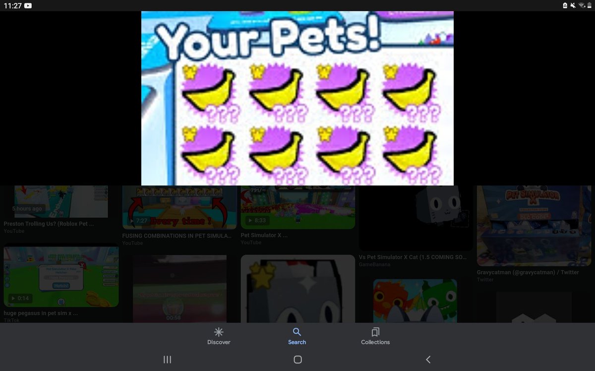 PetSimXPro(follows back) tweet media