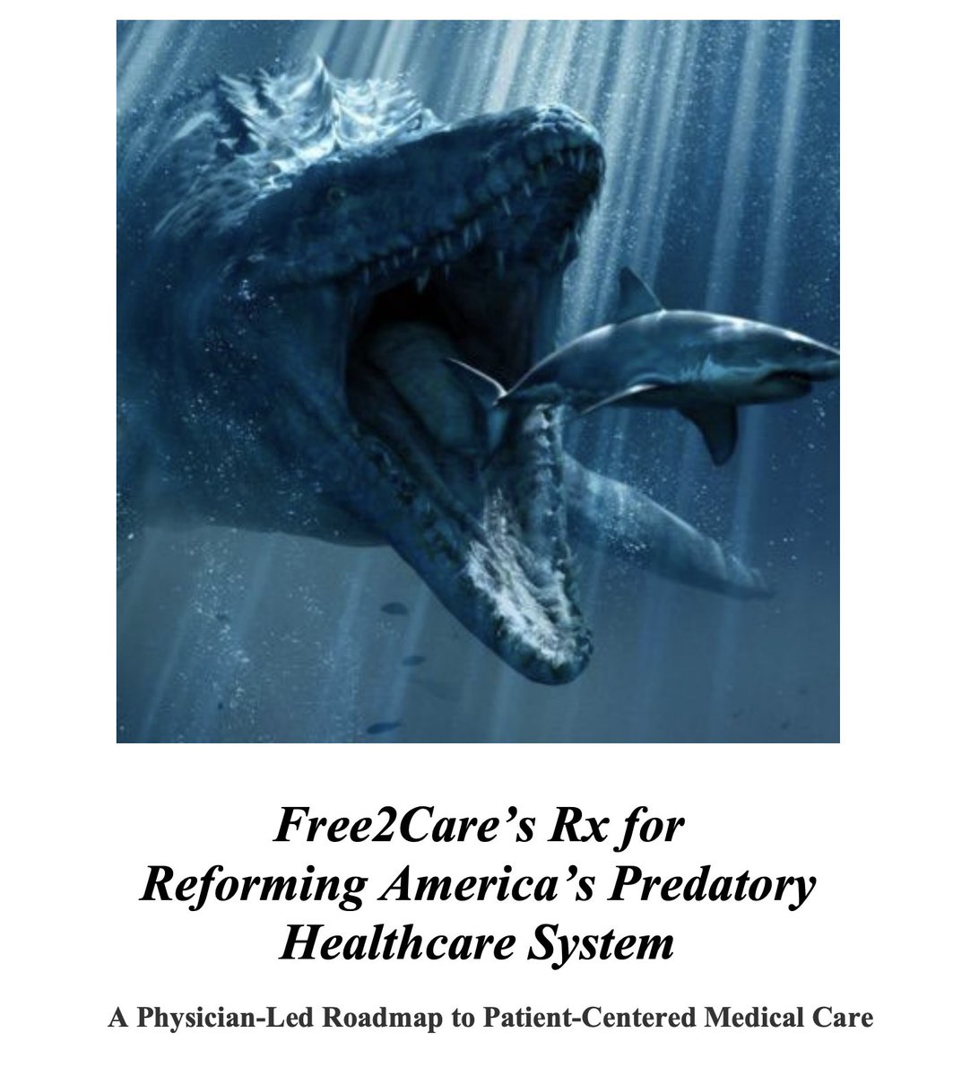 mass_marion's tweet photo. Our @free2care position paper is ready for you to read!
Go to https://t.co/QWoX1E4lOj to download a copy.
We believe:
Medical care should be:
#personalnotpartisan
and 
 accessible, affordable, transparent + portable 

@DavidBalatHC and I thank  the contributing experts https://t.co/trHfqeivzt