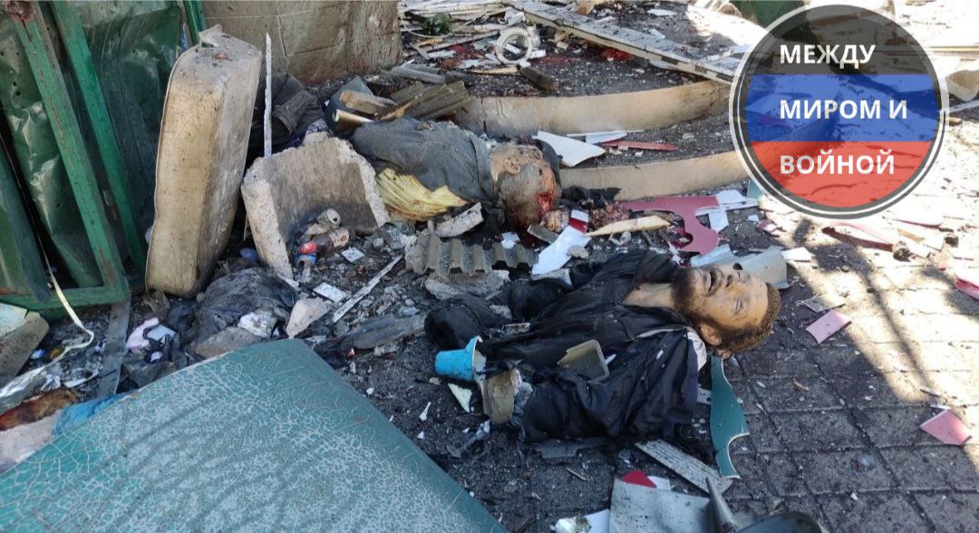 Moose planet 🪙 RMRK treasures tweet media