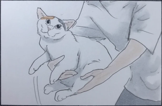 『抱っこをすると』 