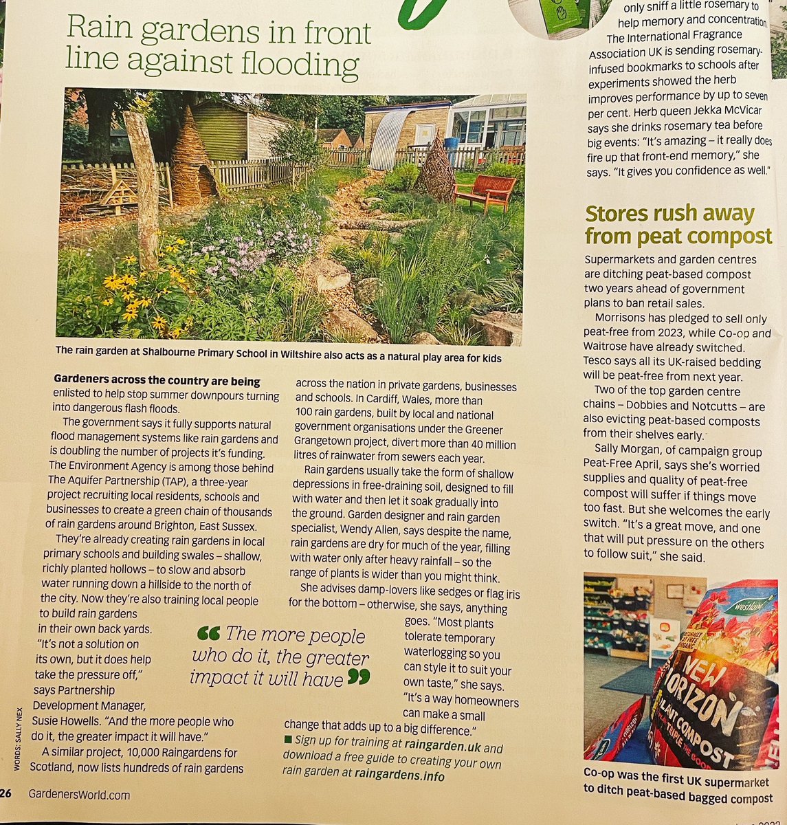 Excellent article in @gardenersworldmag about rain gardens – clear, concise and informative. Love the statistic from Wales about 100 green gardens diverting more than 40,000,000 L of rainwater from sewers!