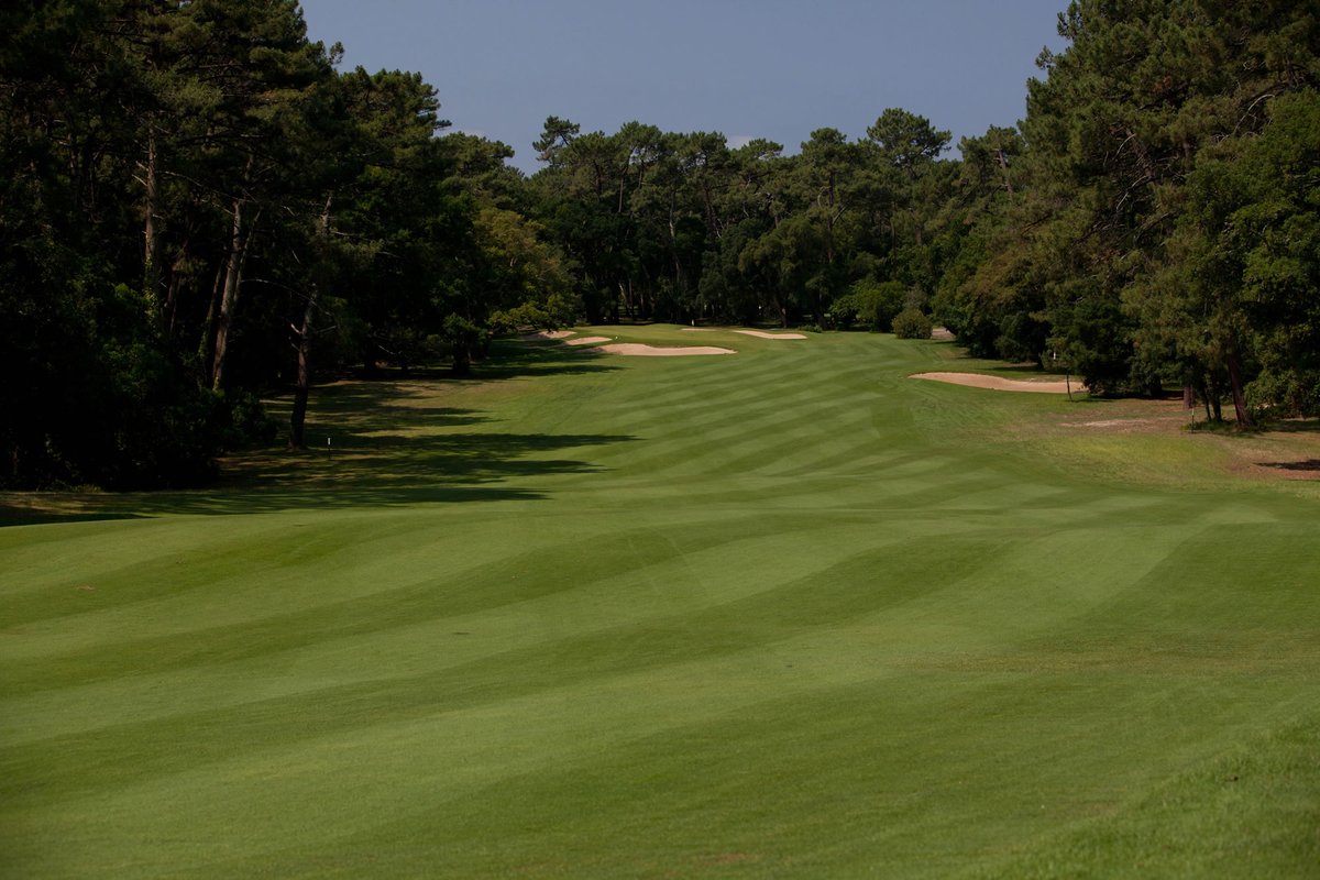 BelgianGolfer's tweet photo. The schedule for our 56th (!) golf holiday, to Madrid, Spain in October (1600 km single way) :
Grand Saint Emilionnais 🇫🇷
La Moraleja 1+2+3 🇪🇸
RSHE CC North + South 🇪🇸
Santander 🇪🇸
Retamares 🇪🇸
TBD 🇪🇸
Santa Marina 🇪🇸 
Pedrena 🇪🇸
Hossegor 🇫🇷 📸 https://t.co/jZzhTQZ5rF