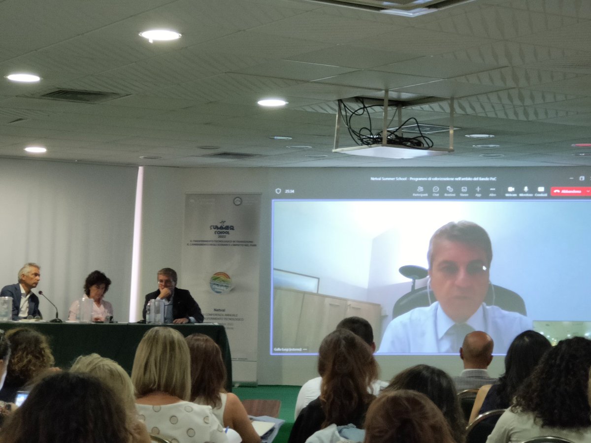 SCocchieri's tweet photo. Alla Summer School di @NetvalITA  Luigi Gallo parla del Bando POC https://t.co/AJIn9esM9Q