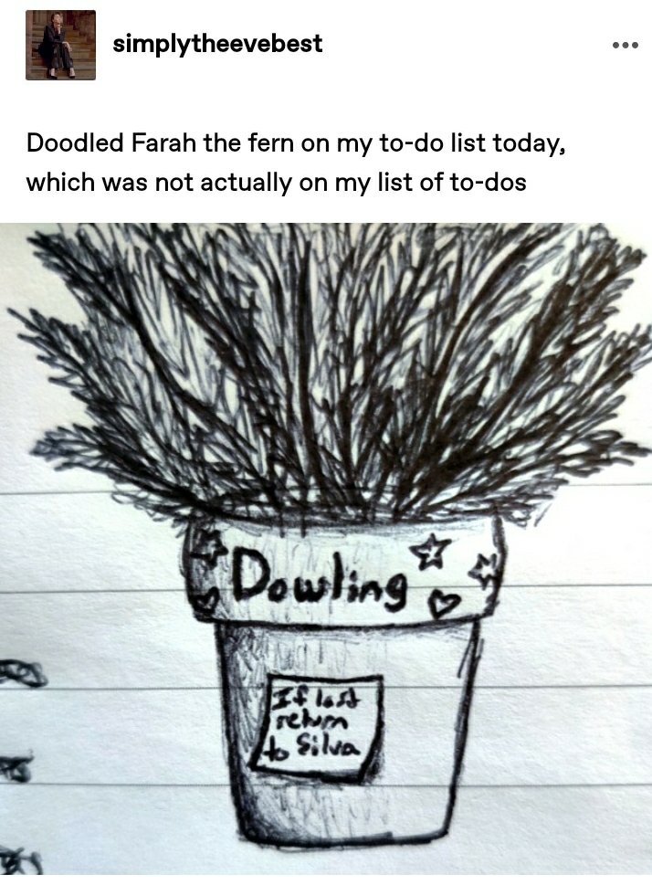 captdorkybadass's tweet photo. @tonymelonie @Anne_394 @belmmissy update on Farah the Fern 😂😂 "If lost return to Silva" 💀 https://t.co/PFWr8rrmKz
