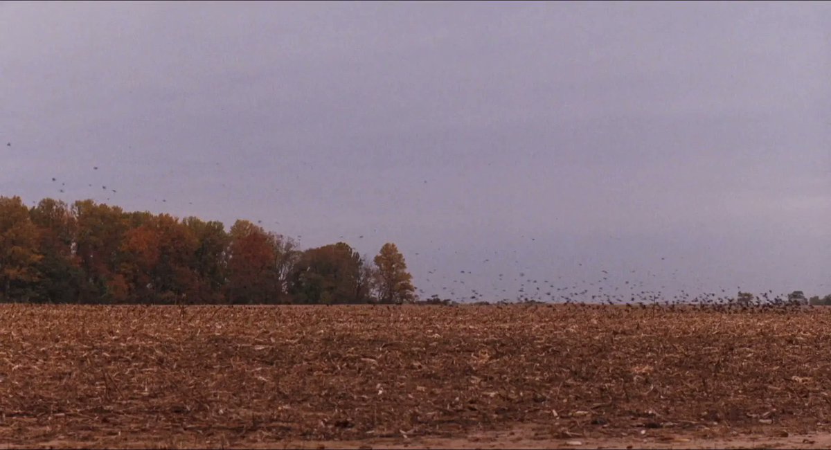 autumn in ‘dead poets society’ (1989)